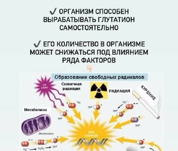 ​​Вы, наверное, слышали, что без антиоксидантов организм жить не