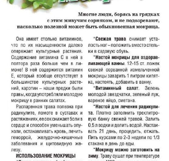 🌿🌿🌿🌿 Лучшее средство для расшатавшихся нервов🌿Чтобы подлечить нервную систему