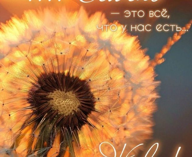 СПИСОК ЛЕКАРСТВ, КОТОРЫХ НЕТ В АПТЕКАХ❤ Молитва – это